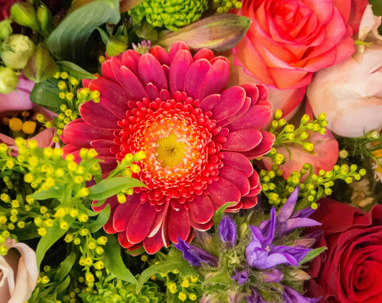 Event Planning Weddings Birthdays Floral Design Event Florals Bridal Florals Event Arch Bridal Bouquet Centerpiece Design Event Directing Elopement Planner